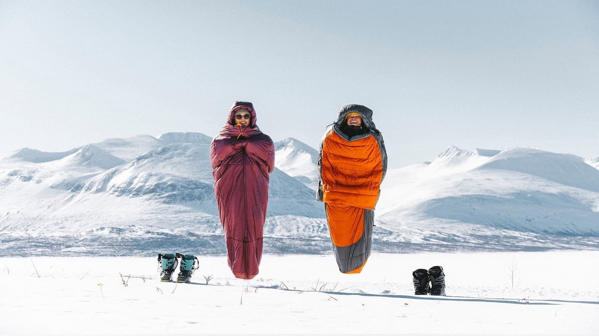 Till Fjälls