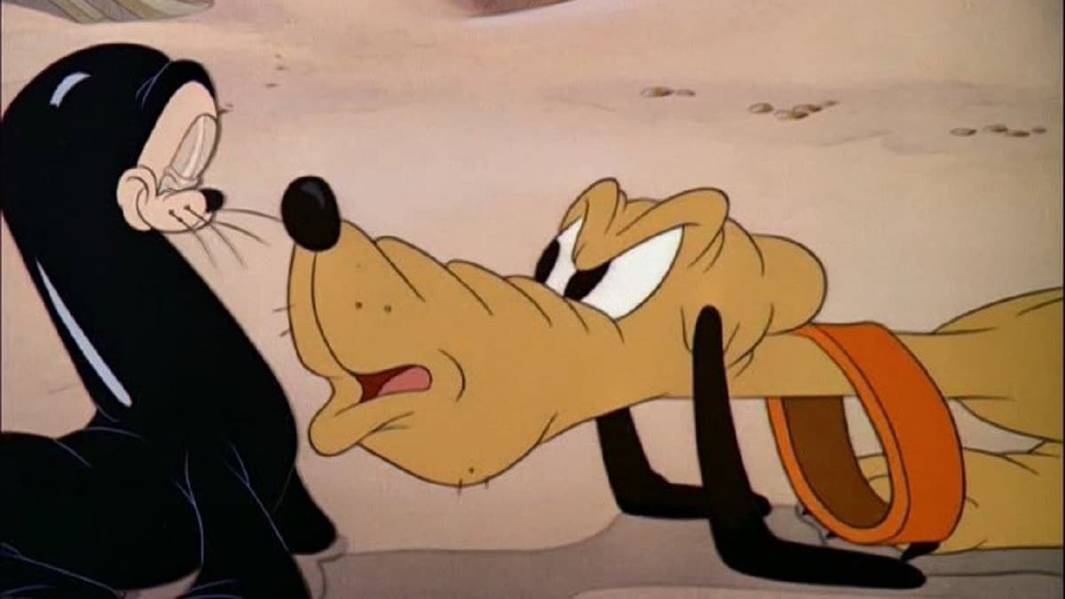 Plutos lekkamrat