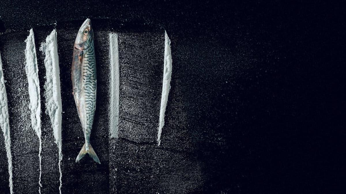 Kokain i vattnet: Den sanna historien om Den största fisken