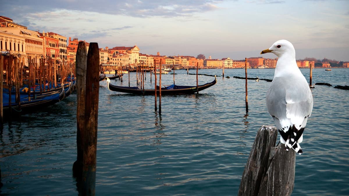 Venedig