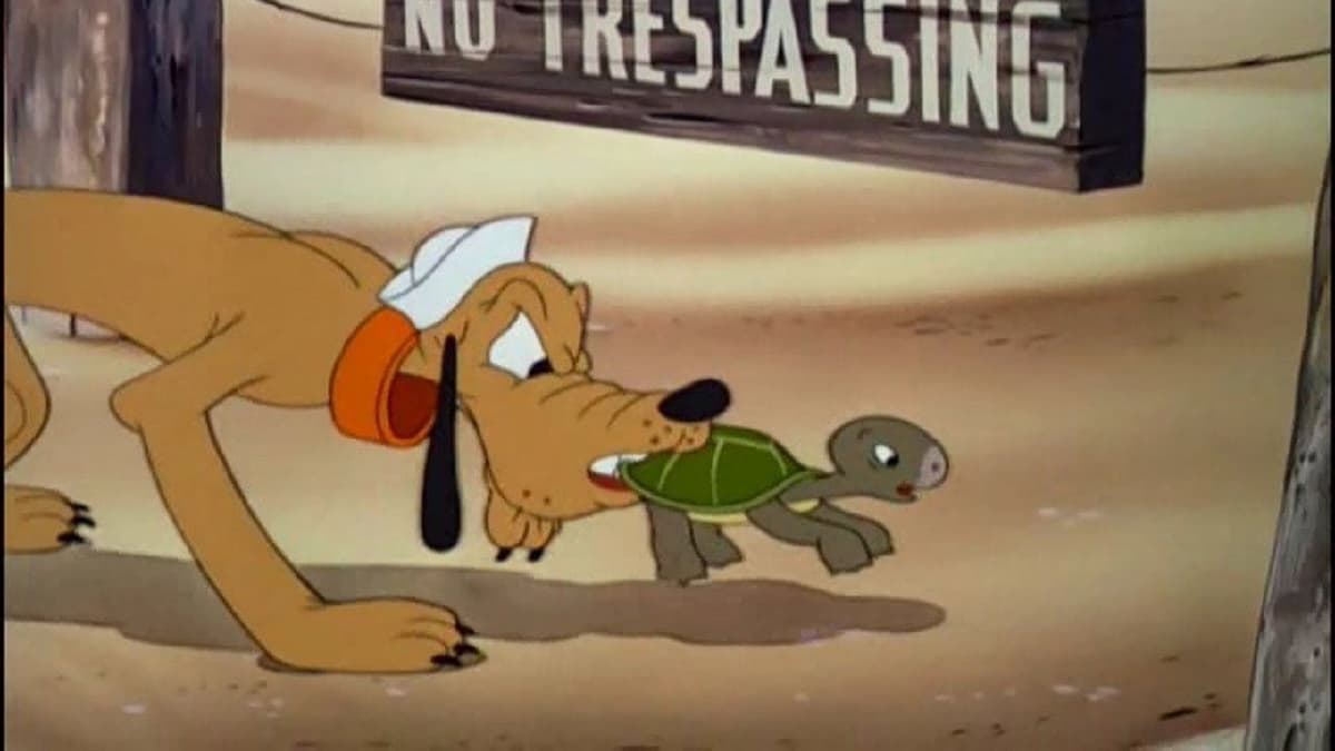 Pluto och sköldpaddan