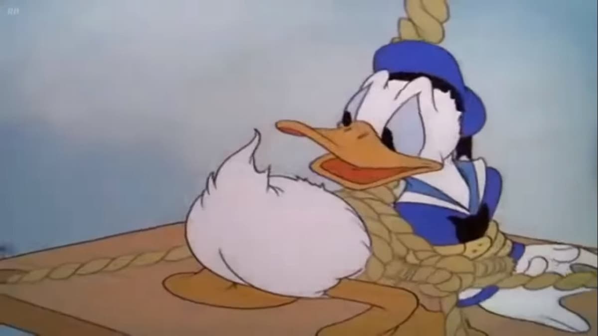 Kalle Anka som fönsterputsare