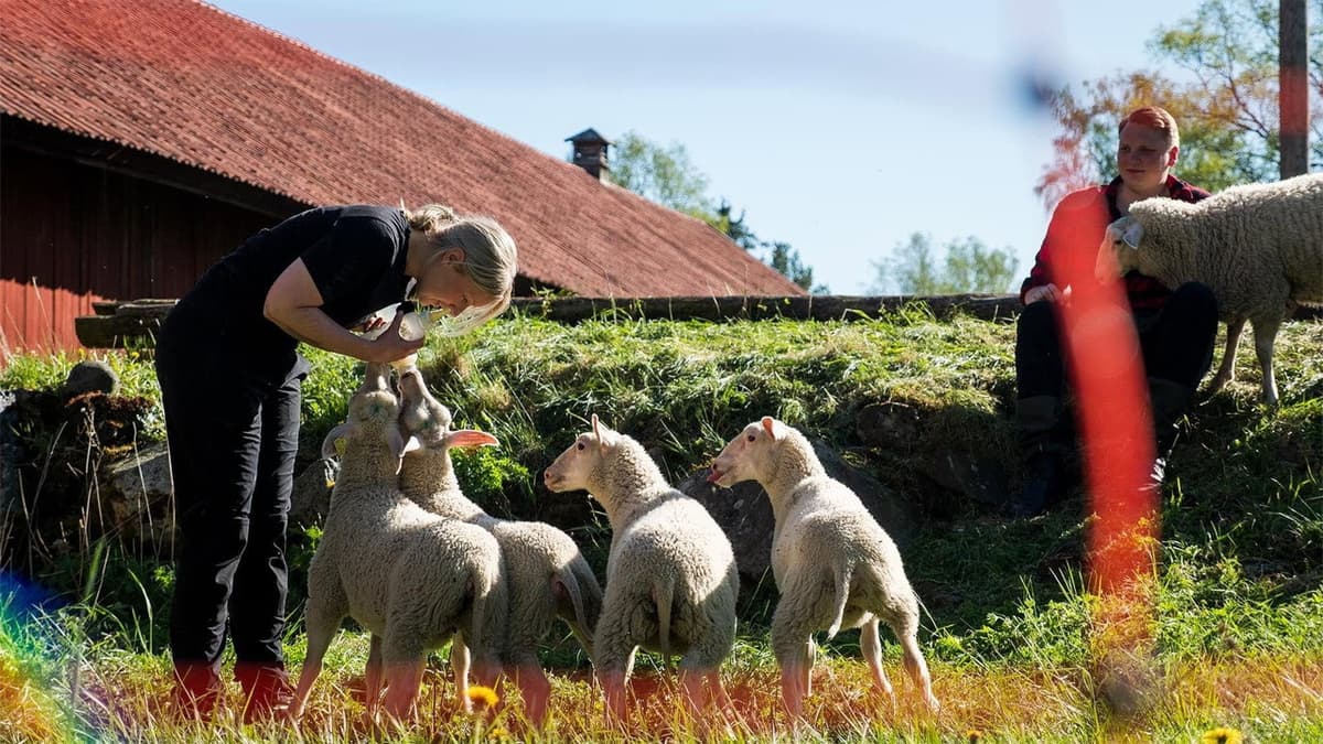 Svenska bönder