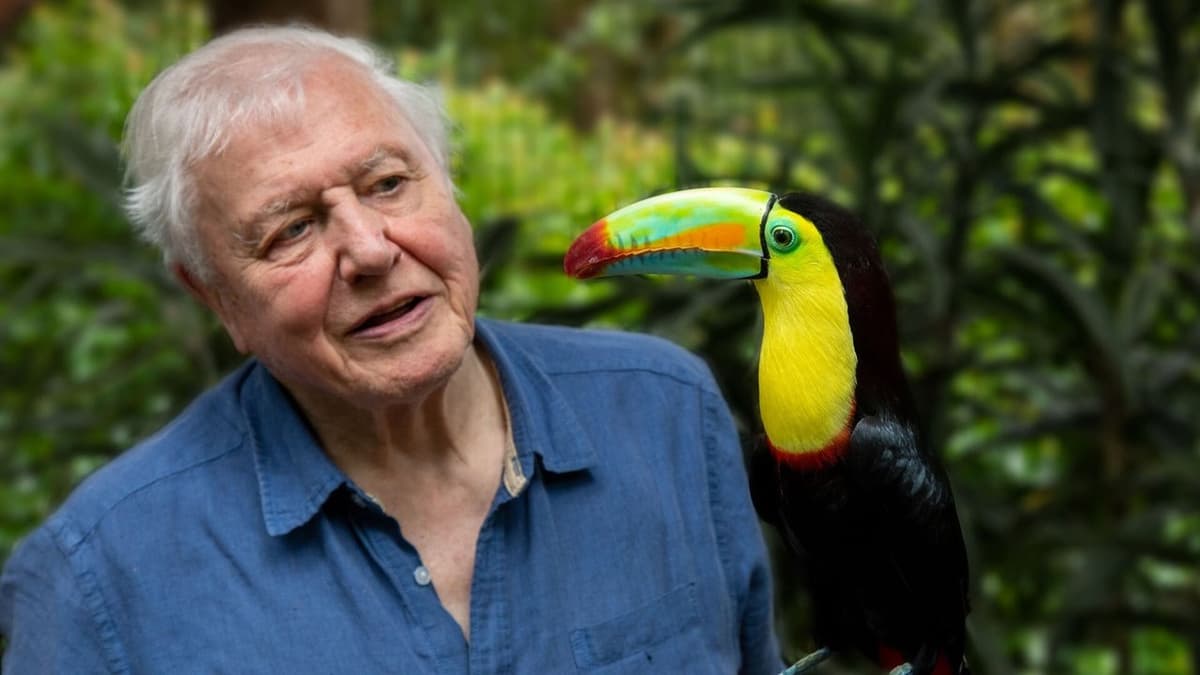 Life in Color With David Attenborough