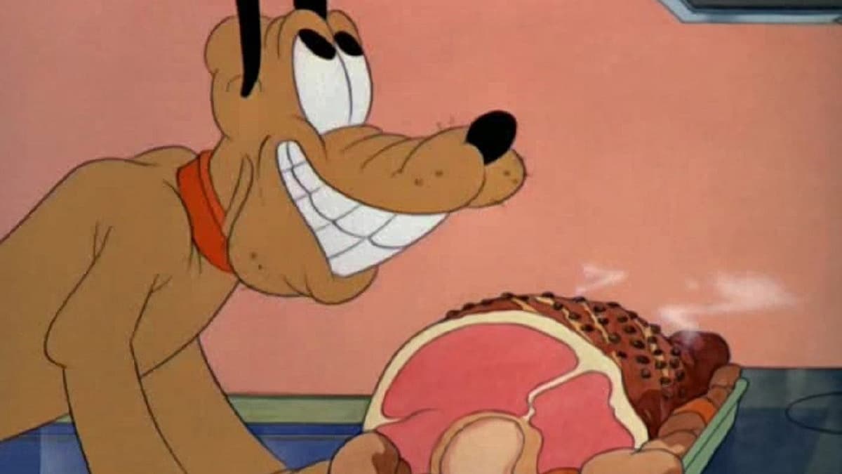 Pluto i skafferiet