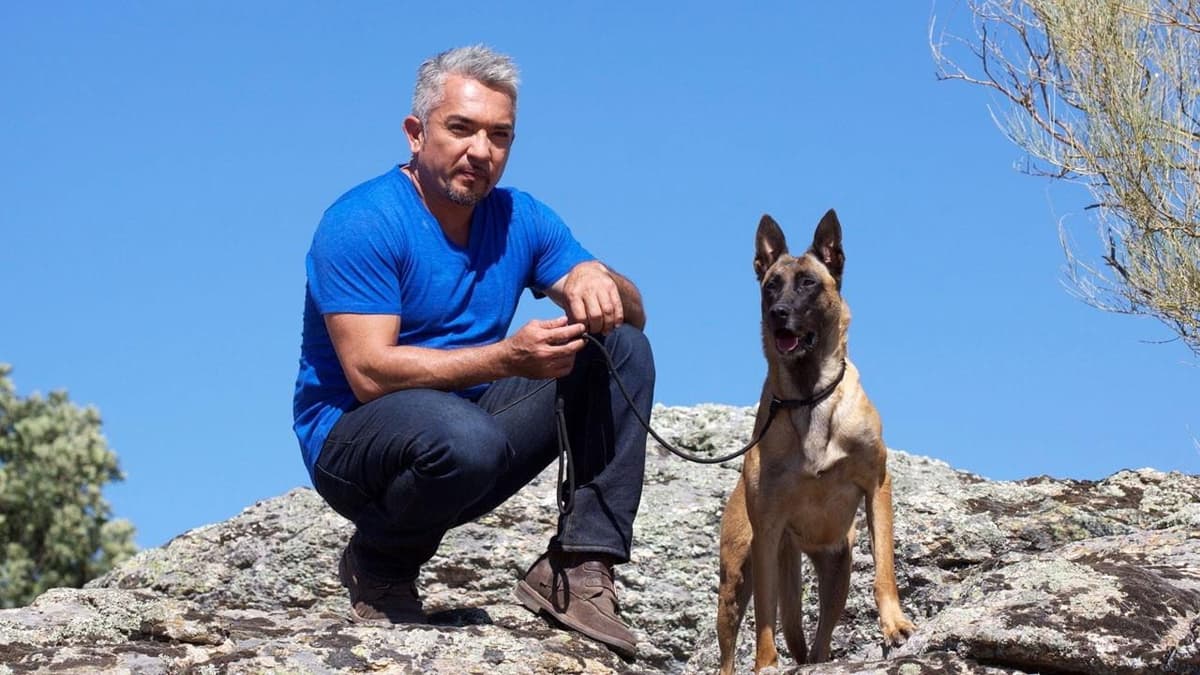 Cesar Millan - problemhundarnas överman