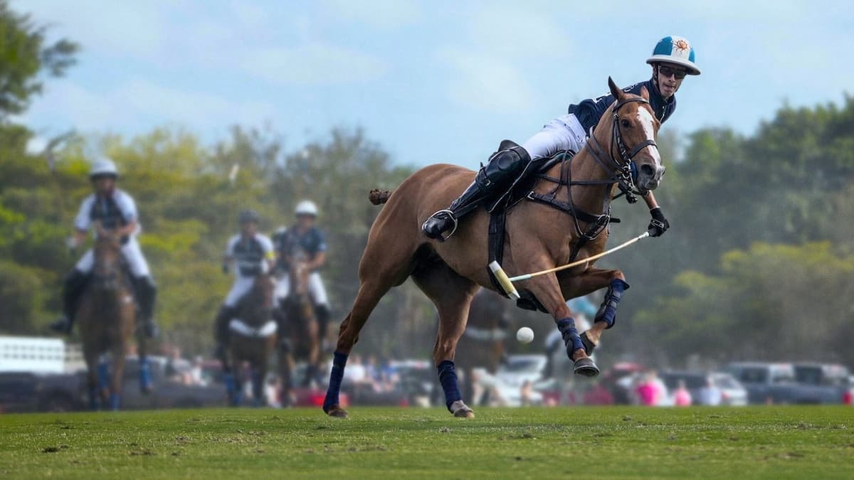 Polo: Ära, berömmelse och hästar