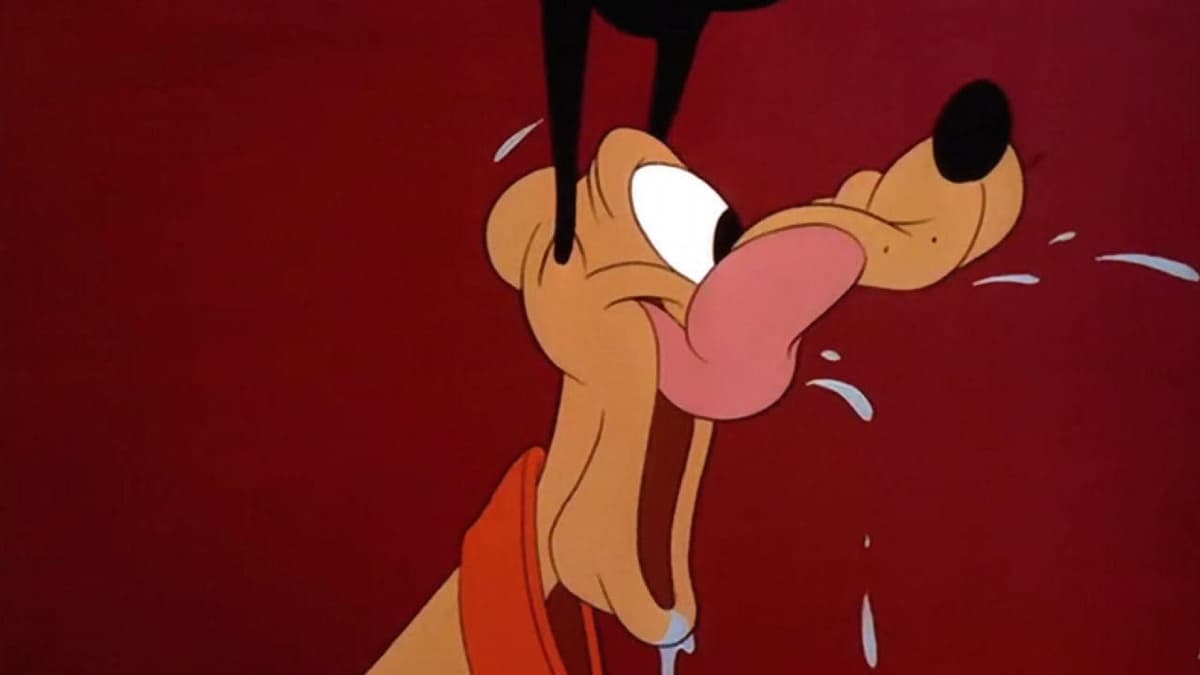Pluto i paradiset