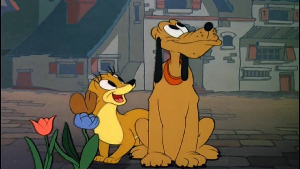 Pluto bär ut mjölken