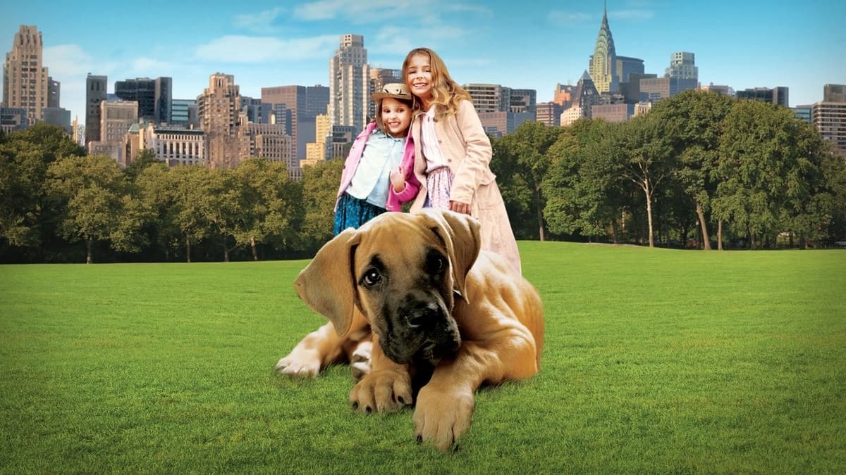 Hjältehunden från New York
