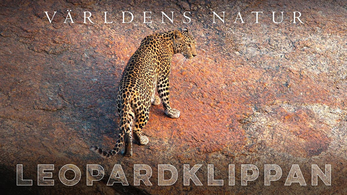 Leopardklippan