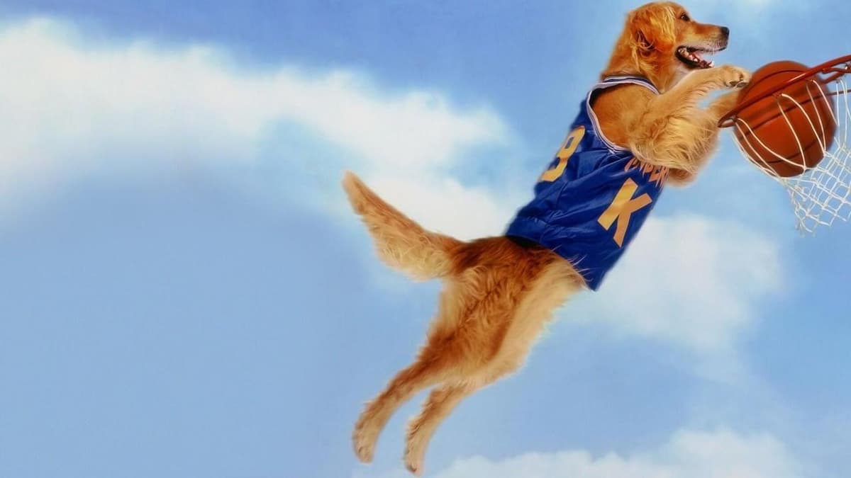 Air Bud - vilken lirare!