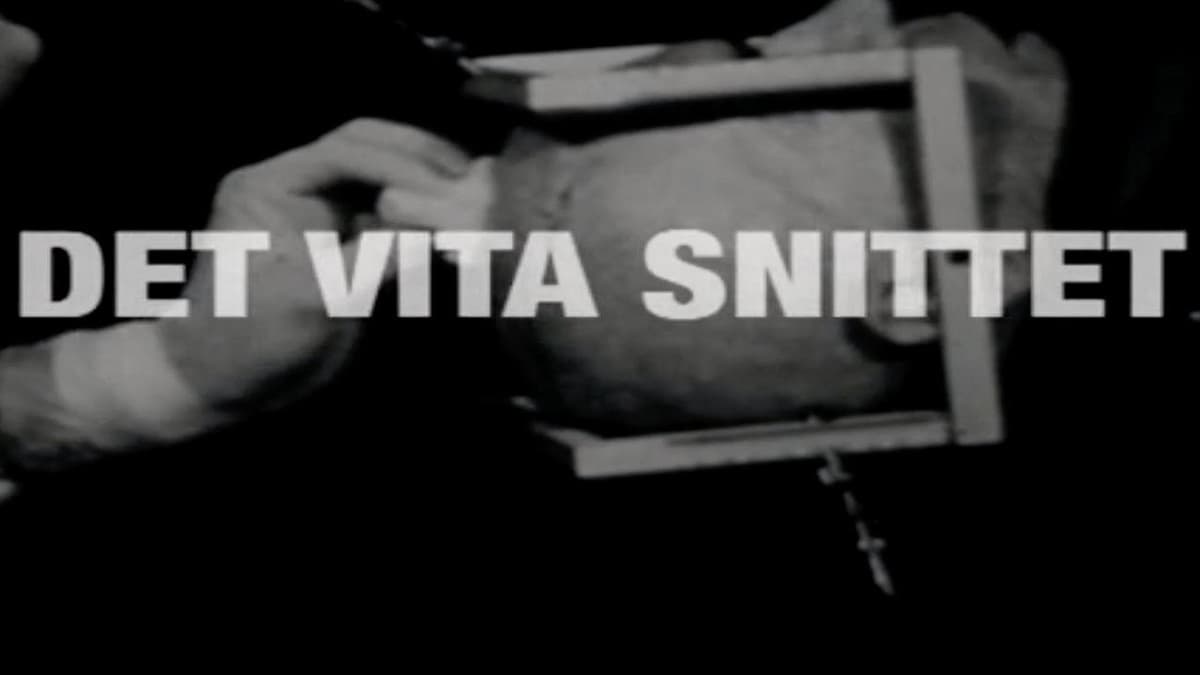 Det vita snittet