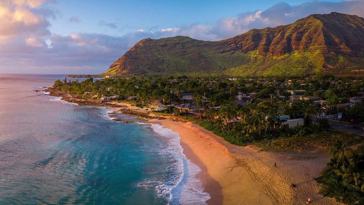 Vilda Hawaii