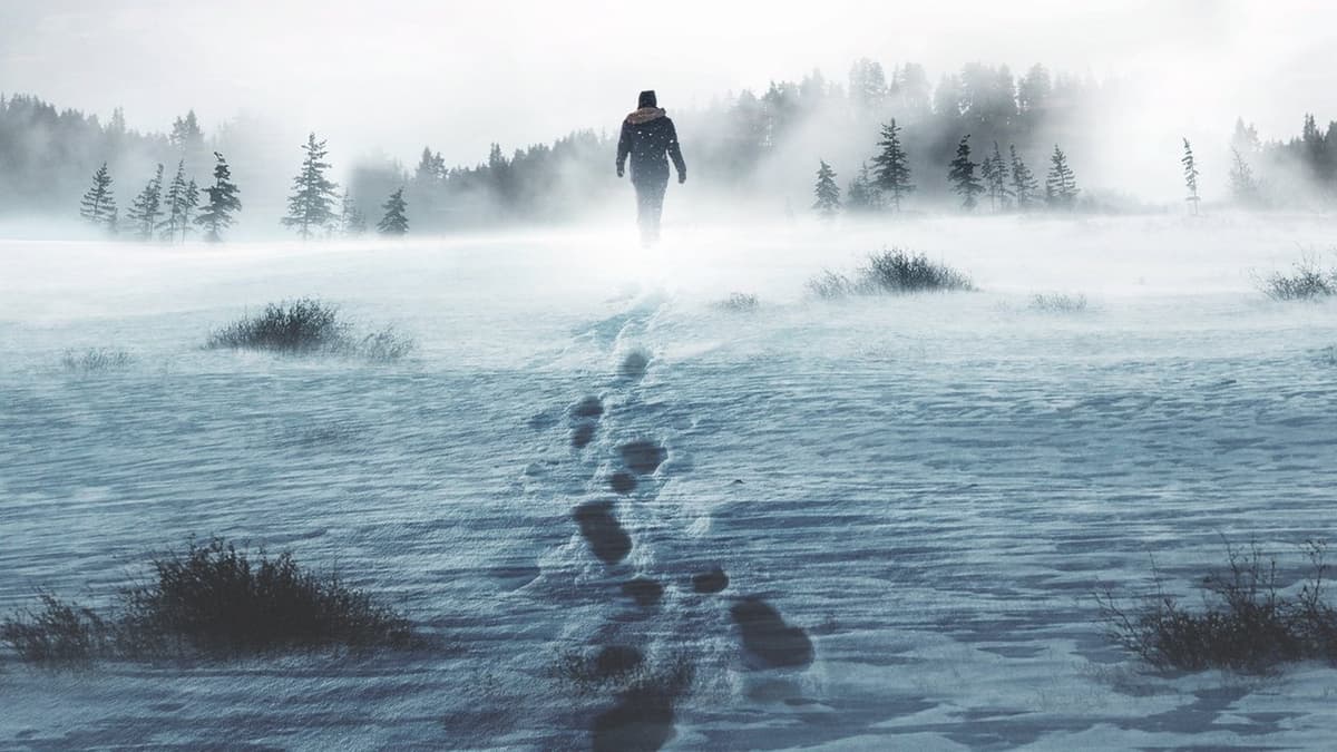 Alone: Grizzly Mountain