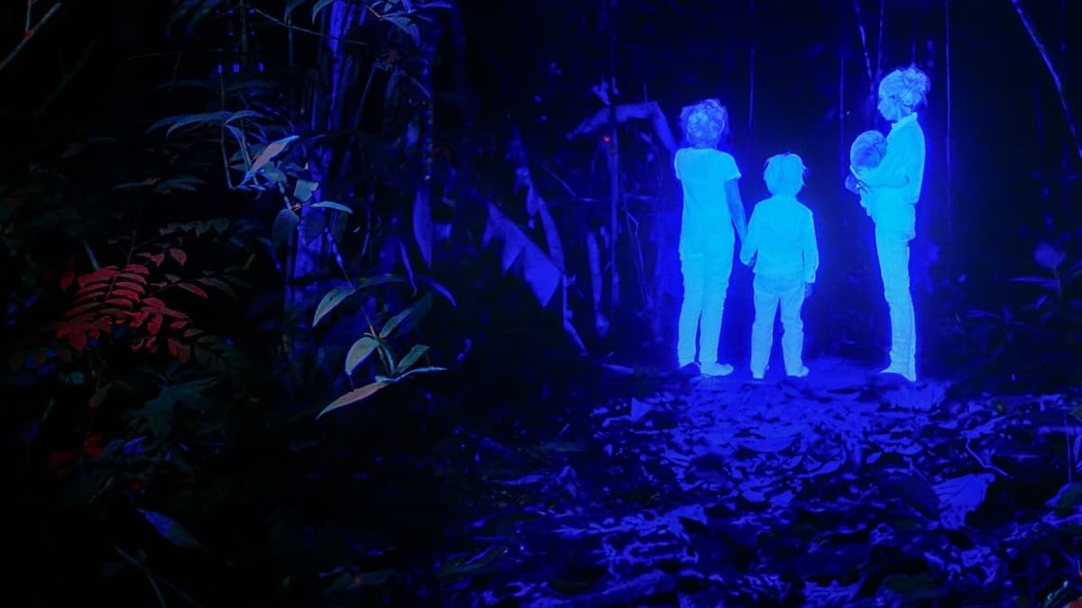 De försvunna barnen i Amazonas