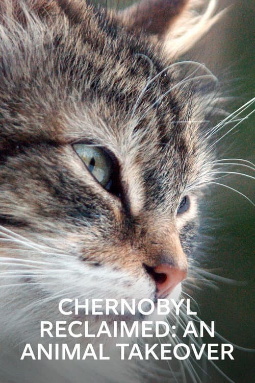 Nytt liv i Tjernobyl