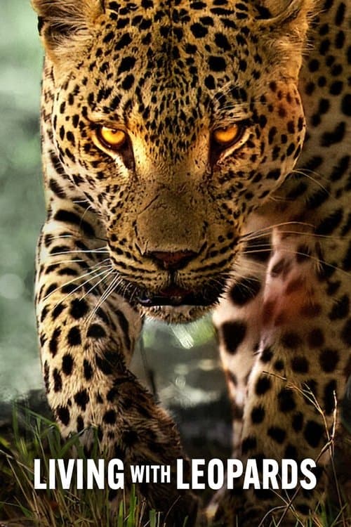 Livet som leopard