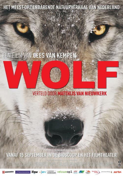 Vargens vandring