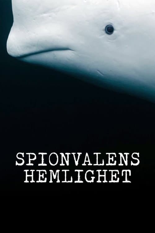 Spionvalens hemlighet