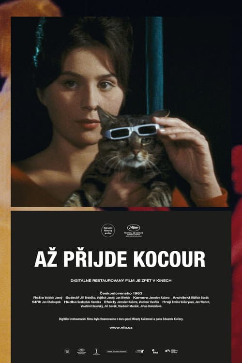 En dag kom en katt