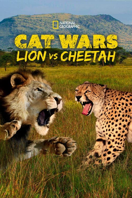 Kattkrig: Lejon vs gepard