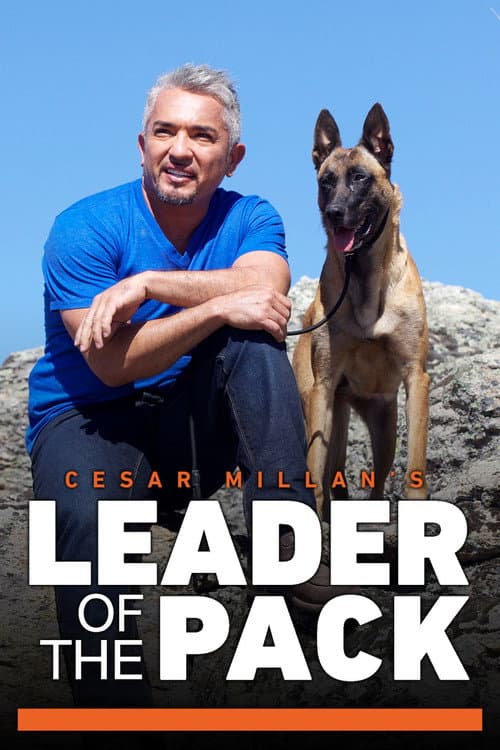 Cesar Millan - problemhundarnas överman