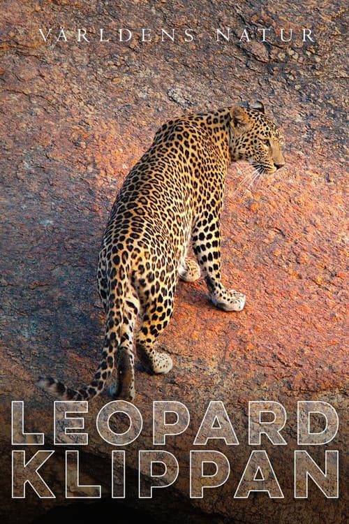 Leopardklippan