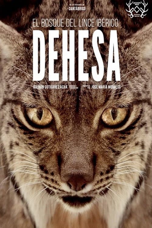 Land of the Iberian Lynx