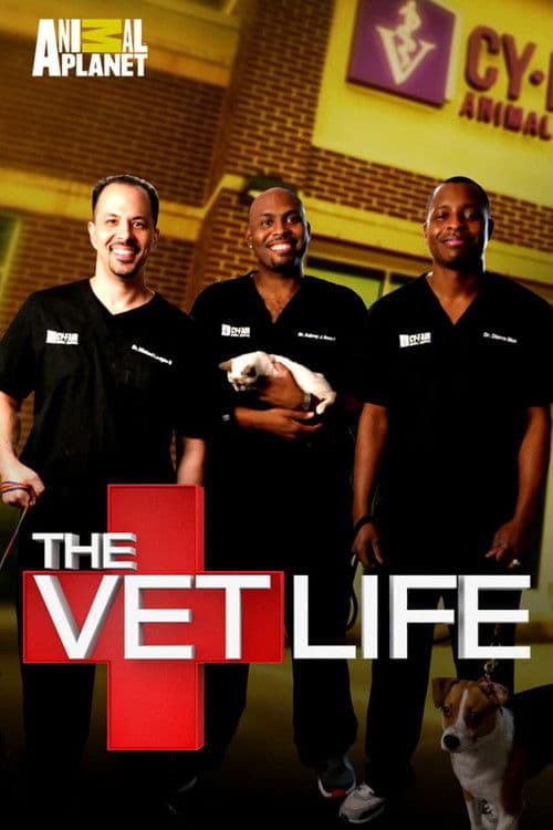 The vet life