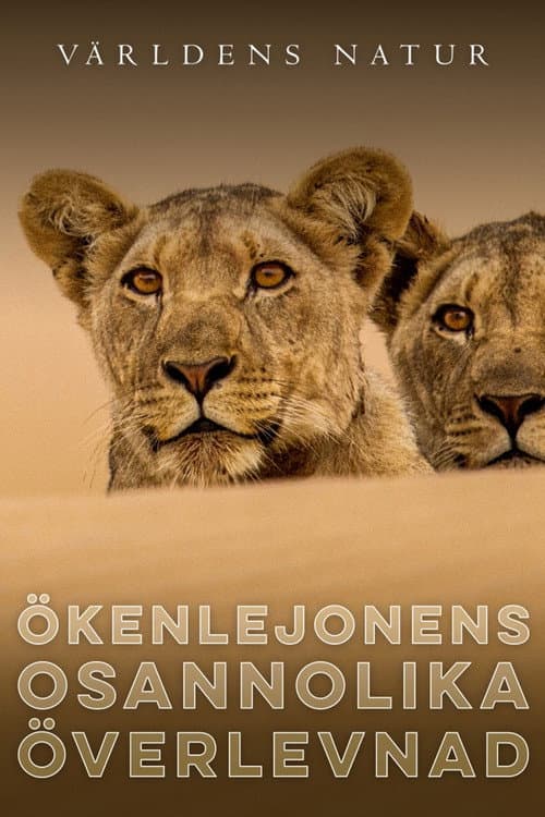 Ökenlejonens osannolika överlevnad