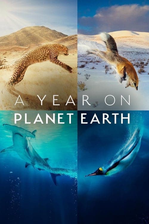 Ett år på planeten jorden